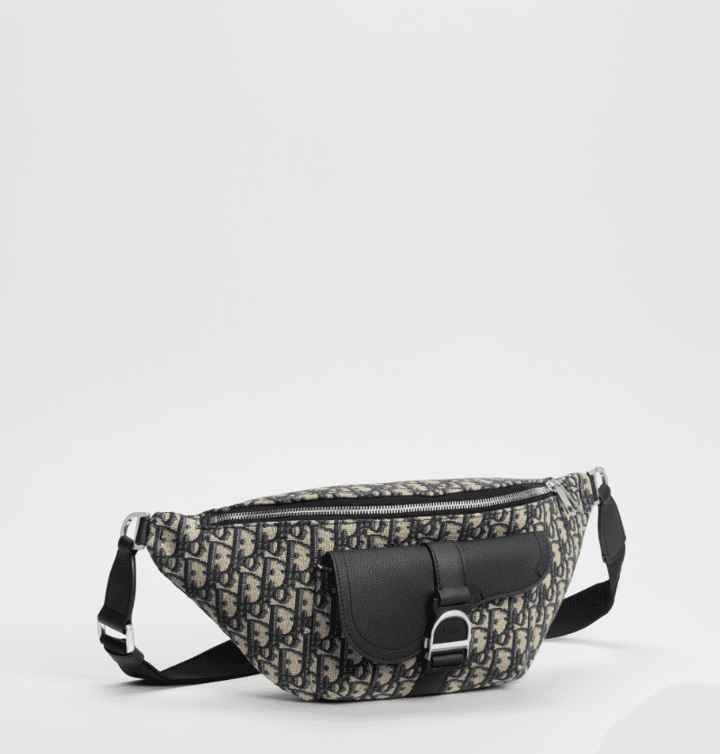 Dior Saddle Heritage sac ceinture